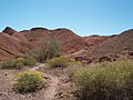 Painted desert trail , imperial national wildlife refuge....6.jpg