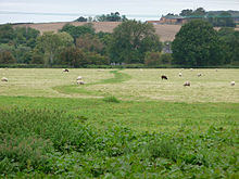 Путь через Северн Хэм - geograph.org.uk - 1729173.jpg