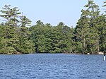 Pawtuckaway Lake.JPG 