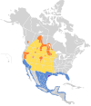 Pelecanus erythrorhynchos mapa.svg