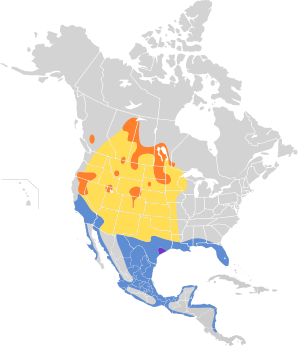 Pelecanus erythrorhynchos map.svg