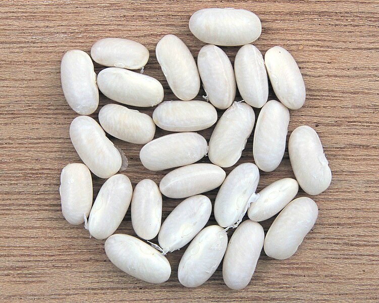 image of white beans