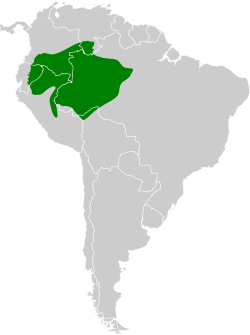 Distribución geográfica del hormiguero alirrojo.