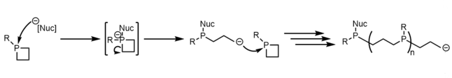 Unobserved ring-opening polymerization PhosphaPolymer.png