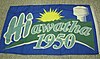 Picture of the Hiawatha Iowa flag.JPG