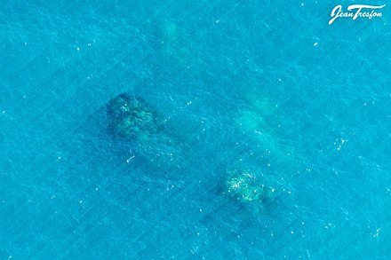 Top of the Atlantis Pinnacles "Pillars of Hercules" as seen on a clear water day from 2000 ft overhead.