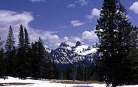 South Central Rockies Forests