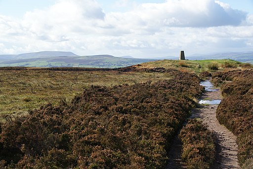 Pinhaw Beacon - geograph.org.uk - 2641799