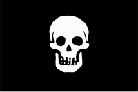 According to contemporary sources, Blackbeard flew a black flag with a skull and a blood red flag;[45] see flag of Blackbeard for details.