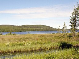 Pirttijärvi flottholme