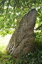 Vignette pour Menhir de Camarel