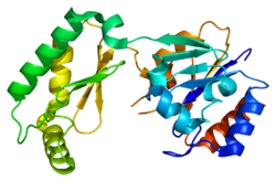 Протеин PMM2 PDB 2 amy.png