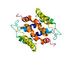 پروتئین S100A16 PDB 2L50.png