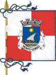 Vlag van Monte Gordo