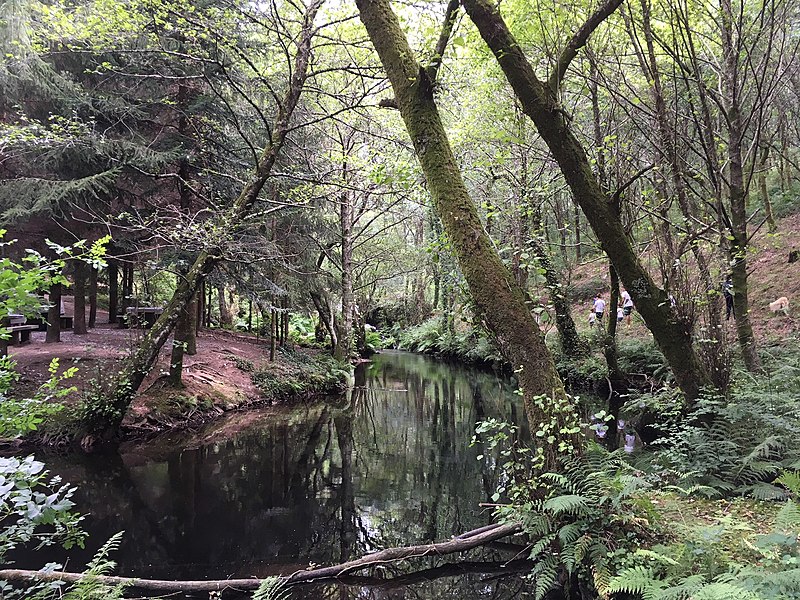 File:Río Barosa, Galiza (2).jpg