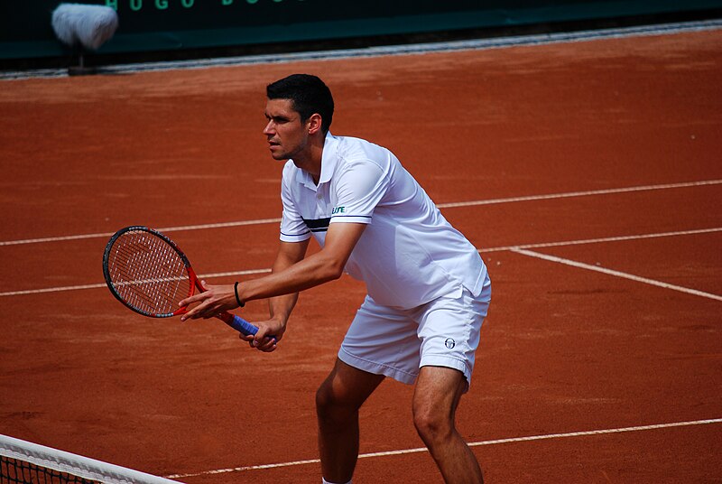 File:RO B Hanescu davis cup ROU UKR.jpg