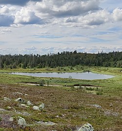 Pyhätunturin Rajajärvi.