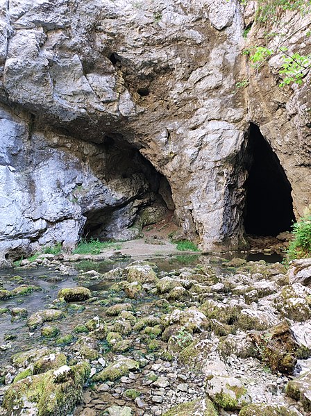 File:Rakov Skocjan, Zelse Caves, de facto spring of the Rak creek.jpg