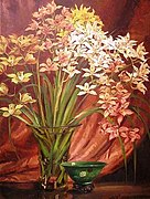 Cymbidium Orchids, 1935