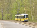 Richtershorn - Uferbahn (Riverbank Tramway) - geo.hlipp.de - 35728.jpg
