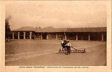 Paddy fields in Piedmont (Northern Italy) in 1920s Risaie Vercellesi.jpg