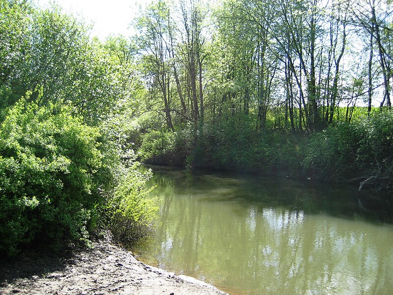 File:Rood Bridge Park river.JPG