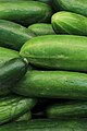 * Nomination Cucumbers being sold at Ryerson University, somewhere in downtown Toronto. Part of the Ryerson Market. --Hiàn 00:13, 21 July 2018 (UTC) * Promotion Good quality. --Martin Falbisoner 11:32, 21 July 2018 (UTC)