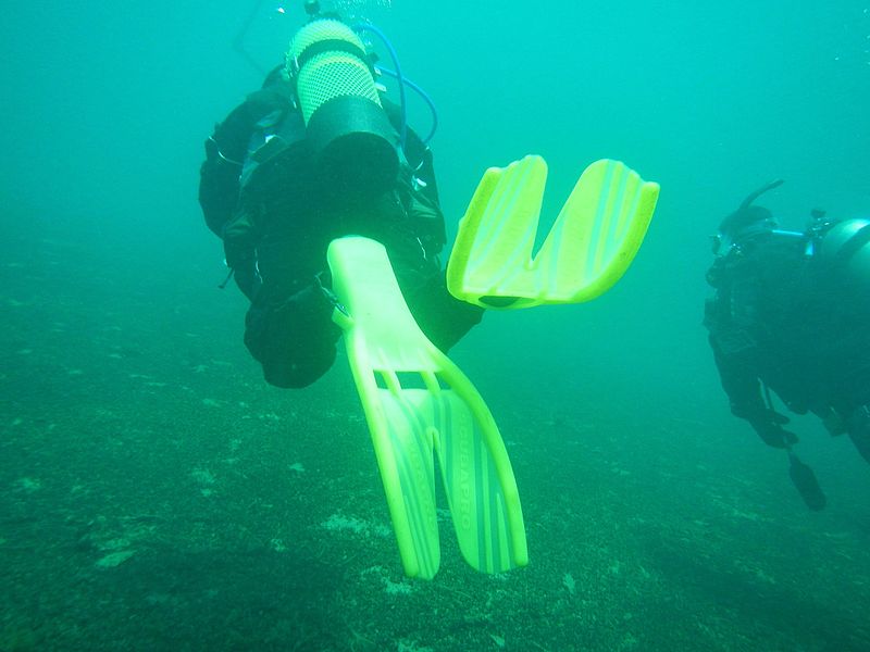 File:SCUBA .jpg