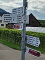 File:SWV Wegweiser OGDU082 Durbach Schleife.jpg ~1 use(s)