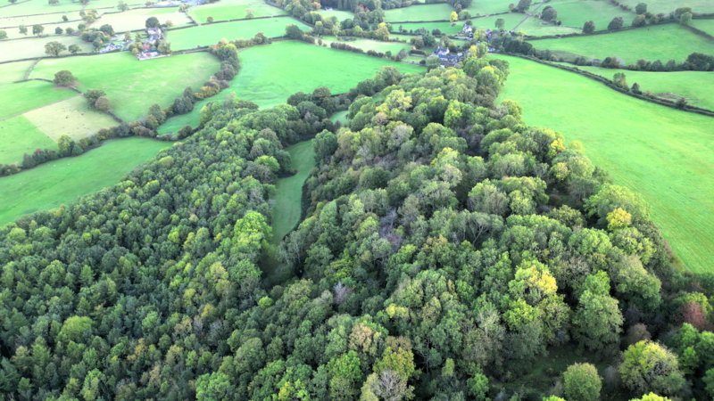 File:Safle amddifynol canoloesol Coed Henblas - Coed Henblas Moated Site ger Graigfechan a Rhuthun, Denbighshire, Wales 12.png