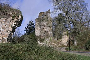 Saint-Aubin-du-Cormier ruins.JPG