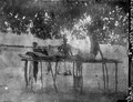 Salutorget. Ett stånd under mangoträd. Mevarano. Madagaskar - SMVK - 021891.tif