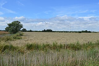 <span class="mw-page-title-main">Sandbeach Meadows</span>