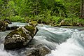 * Nomination Sarca torrent in the Adamello Brenta nature reserve. --Lion-hearted85 14:52, 22 October 2020 (UTC) * Promotion  Support Good quality. --Augustgeyler 18:05, 22 October 2020 (UTC)  Comment saturation seems to be slightly over the top. --Kallerna 07:34, 23 October 2020 (UTC)  Comment That's a good point. I pulled it back a little. Actually, the difference with the previous version is quite subtle. --Lion-hearted85 19:24, 23 October 2020 (UTC)