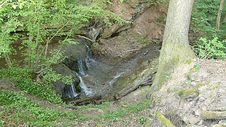 Schluchtwald am Merzenbach P1190362