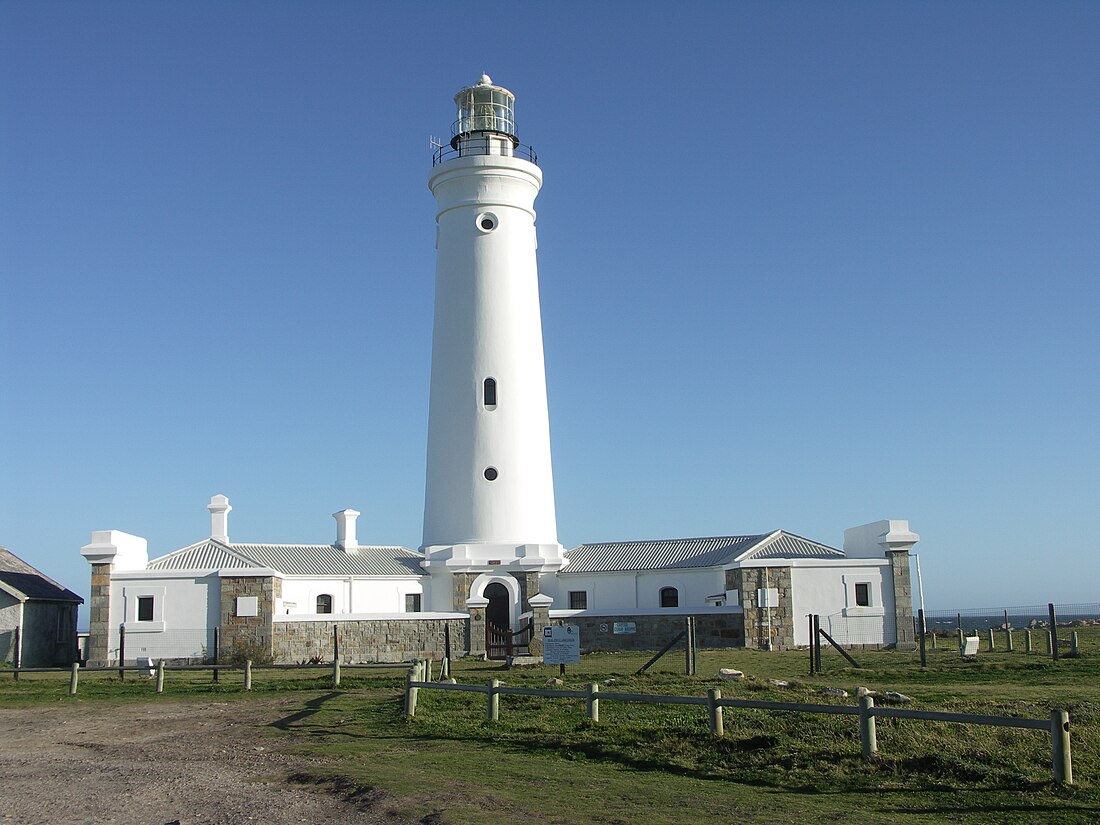 Seal Point fyr