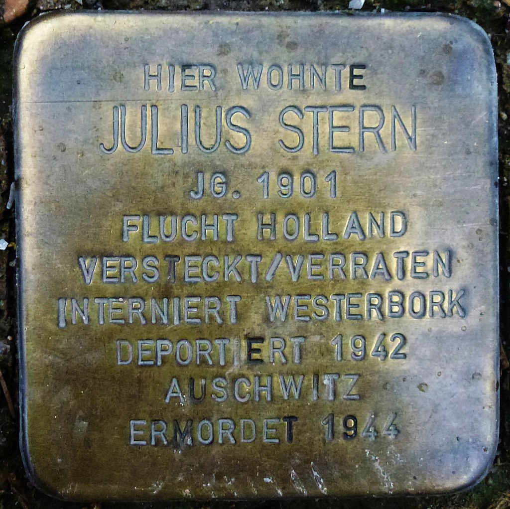 Julius Stern