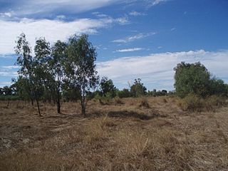 <span class="mw-page-title-main">Shearers' Strike Camp Site, Barcaldine</span> Historic site in Queensland, Australia