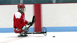 Sledge hockey player.jpg