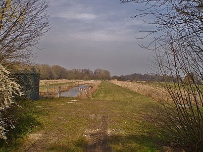 Hoe gaan naar Biezenveld Reynhove met het openbaar vervoer - Over de plek