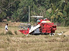 Harvesting Paddy using Machines in Sri Lanka. SriLanka - Moisson du riz.JPG