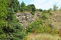 English: Státní lom, an abandoned quarry in the nature park Velký Kosíř. South-west part of the quarry is a national natural monument, but this picture was taken in its north part. Čeština: Státní lom, přírodní park Velký Kosíř. Jihozápadní část lomu je národní přírodní památkou, ovšem tato fotografie byla pořízena v severní části.