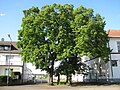 {{Kulturdenkmal Hessen|106701}}