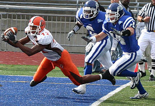 <span class="mw-page-title-main">Steve Sanders (American football)</span> American football player (born 1982)