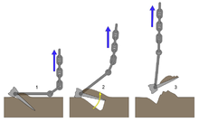 A poleless anchor on the process of breakout Stockless anchor 2 NT.PNG