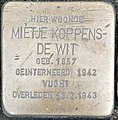 Miniatuurafbeelding voor de versie van 8 jan 2023 09:02