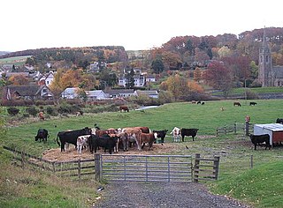 Stow of Wedale Human settlement in Scotland