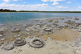 Lake Thetis