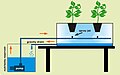 Aeroponic system