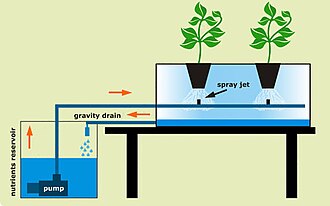 Hydroponics - Wikipedia